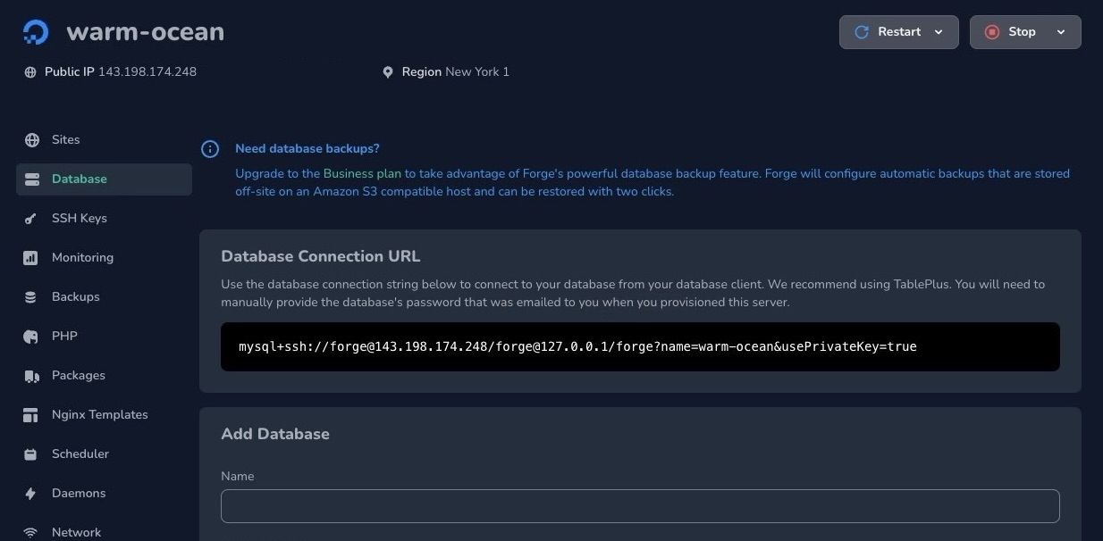 Forge - Database connection URL